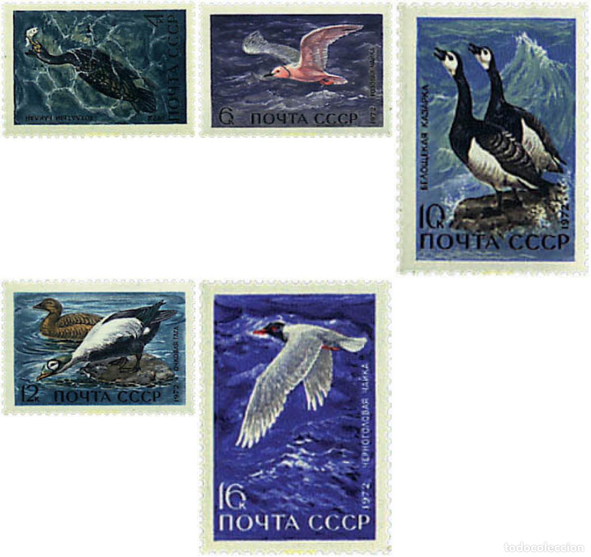 Sellos: 63269 MNH UNION SOVIETICA 1972 AVES MARINAS