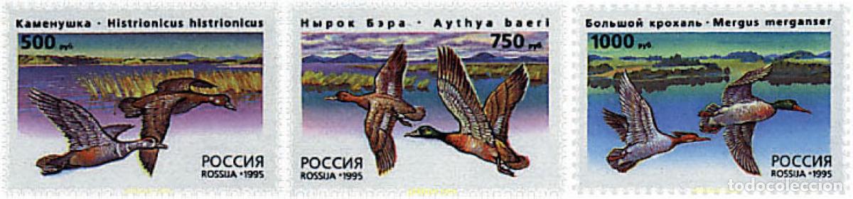 Sellos: 62623 MNH RUSIA 1995 AVES