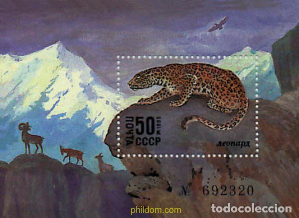 Sellos: 34653 MNH UNION SOVIETICA 1985 FAUNA DE LA URSS