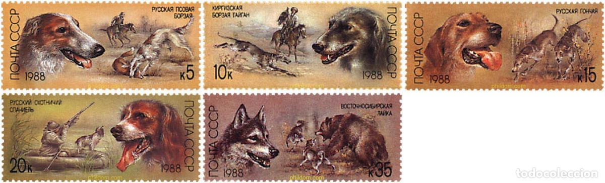 Sellos: 63513 MNH UNION SOVIETICA 1988 PERROS DE RAZA