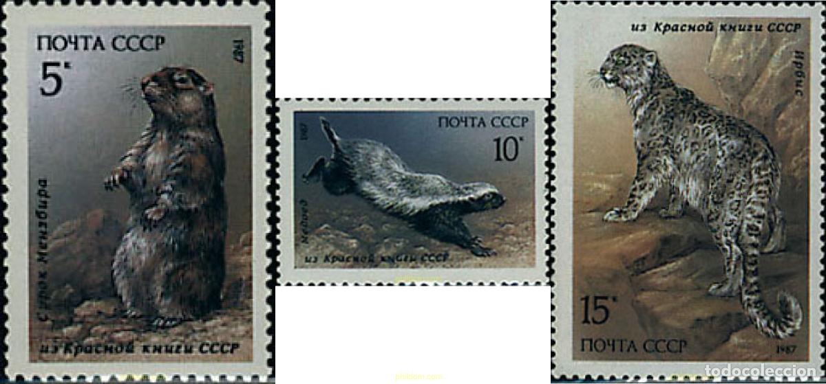 Sellos: 63507 MNH UNION SOVIETICA 1987 MAMIFEROS