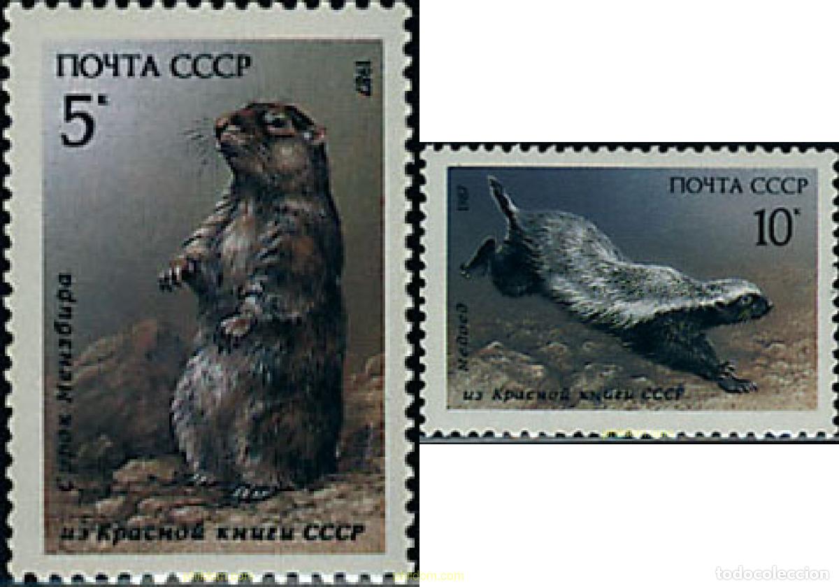 Sellos: 239757 MNH UNION SOVIETICA 1987 MAMIFEROS