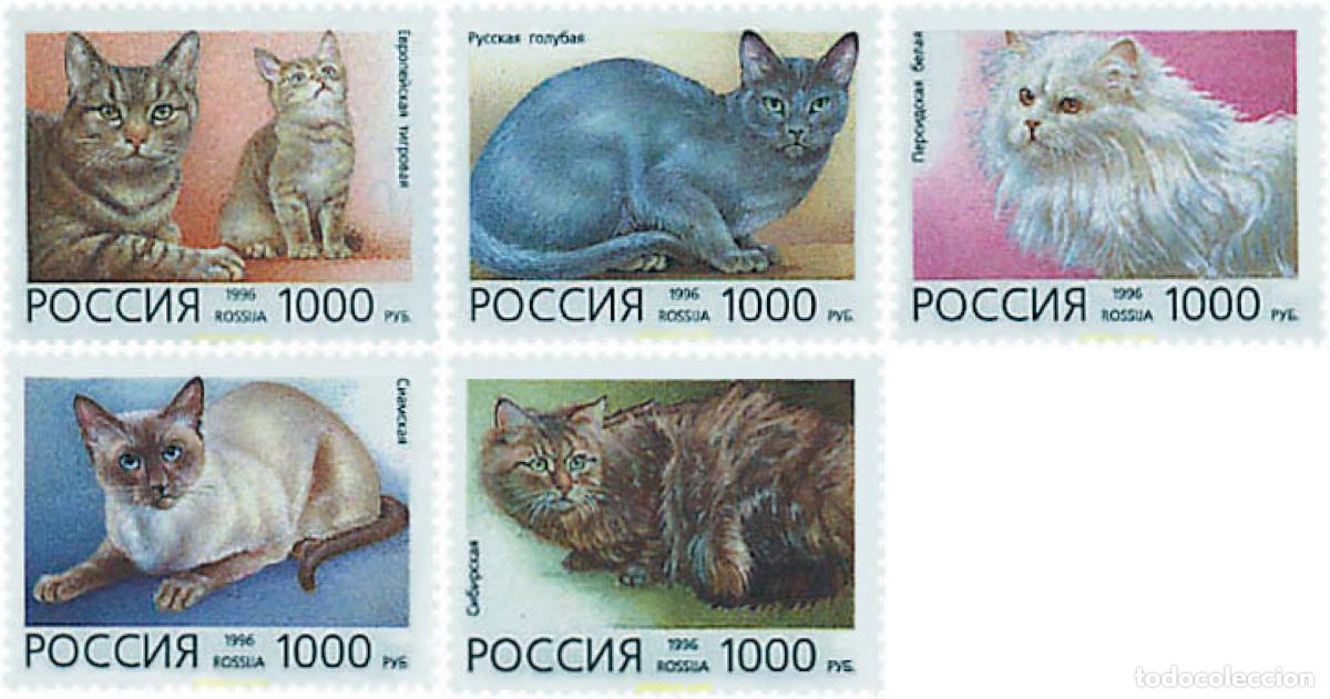 Sellos: 37111 MNH RUSIA 1996 GATOS DOMESTICOS