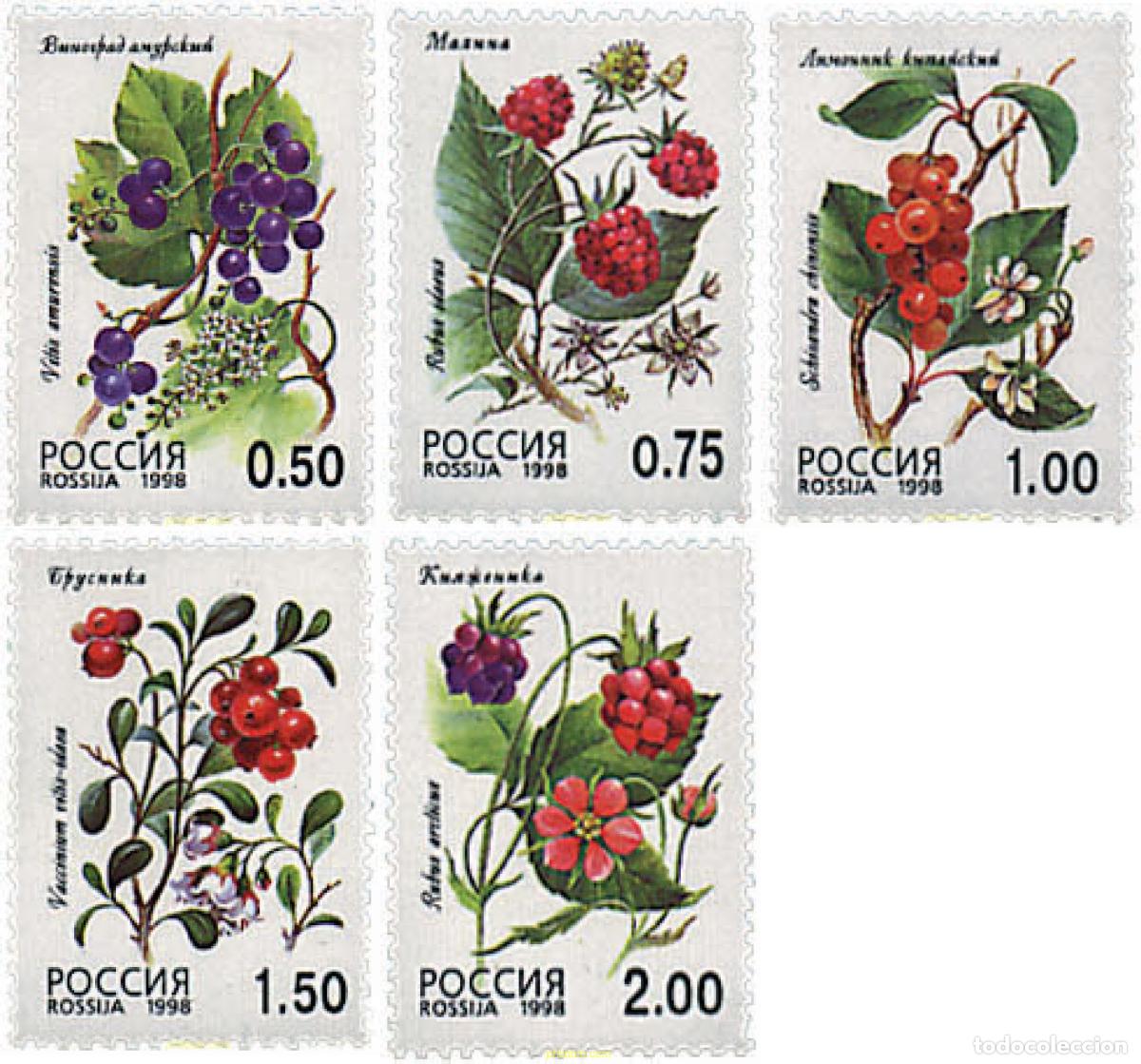 Sellos: 94014 MNH RUSIA 1998 BAYAS SILVESTRES