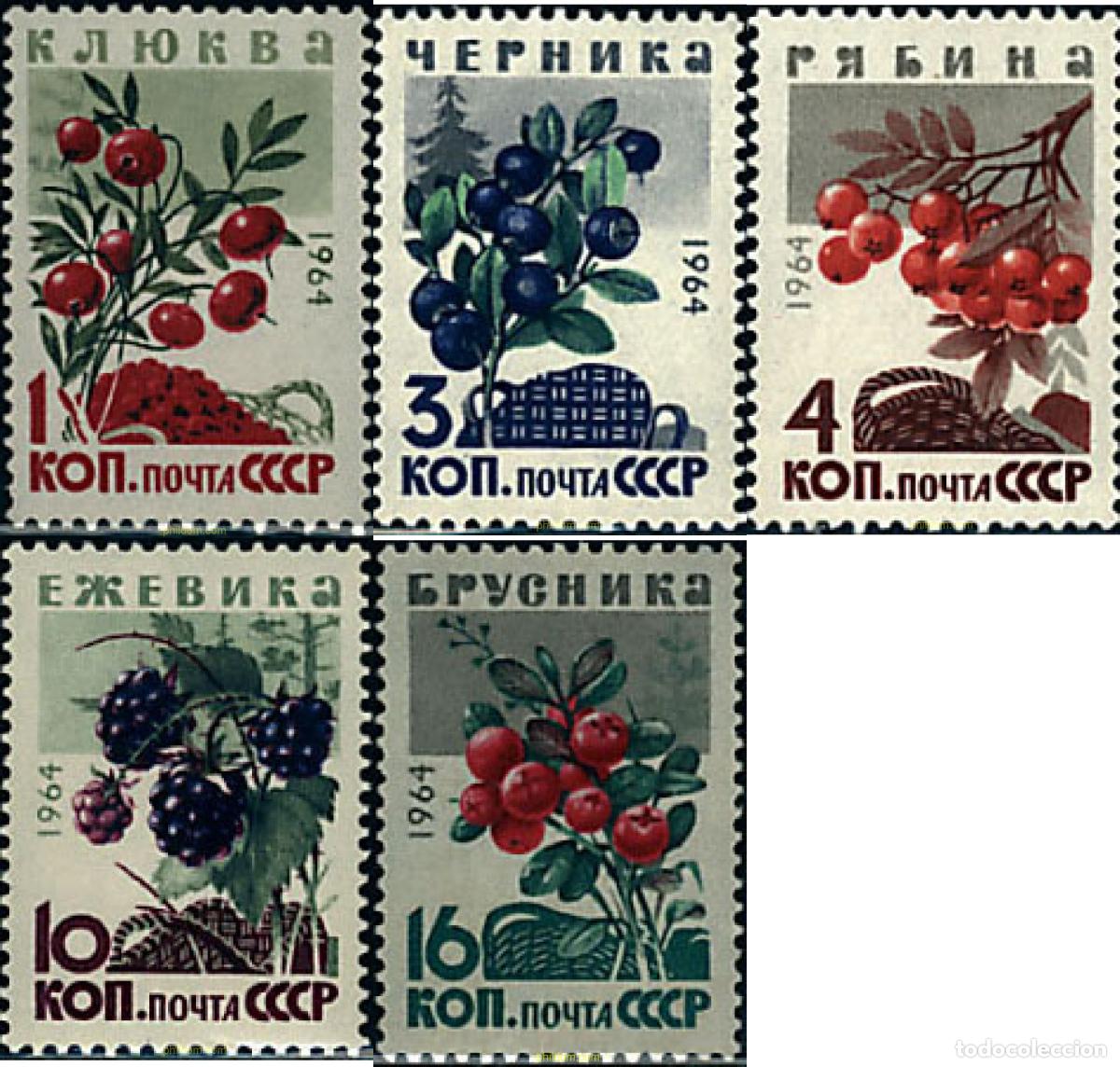 Sellos: 63062 MNH UNION SOVIETICA 1964 FRUTOS