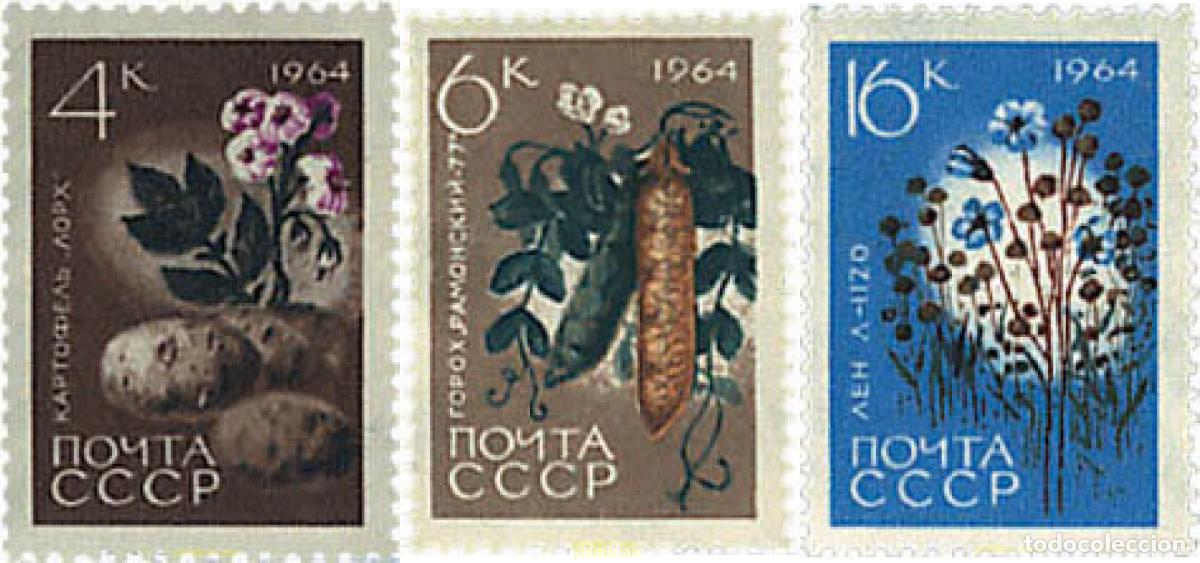 Sellos: 267130 MNH UNION SOVIETICA 1964 EXPOSICION AGRICOLA DE MOSCU