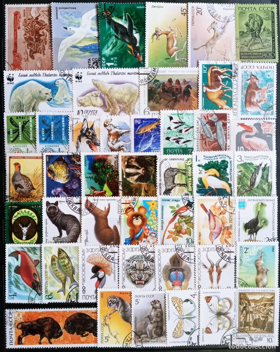 Sellos: RUSIA - IVERT LOTE 110 SELLOS USADOS - TEMAS FLORA; FAUNA ; DEPORTES - LOS DE LAS 3 FOTOS