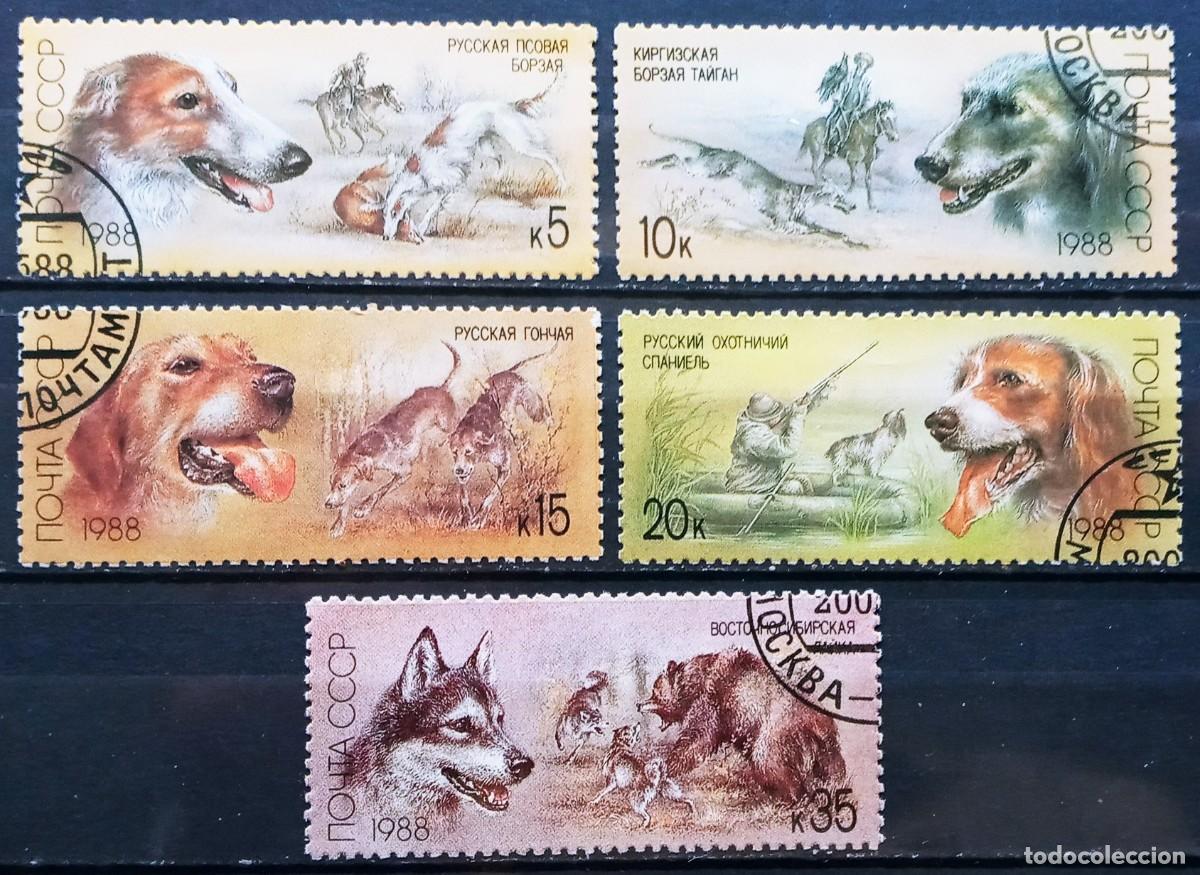 Sellos: RUSIA - IVERT 5511/15 USADOS - PERROS DE CAZA - SERIE FAUNA A&Ntilde;O 1984