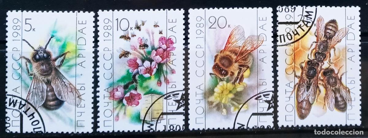 Sellos: RUSIA - IVERT 5627/30 USADOS -ABEJAS SERIE FAUNA A&Ntilde;O 1989