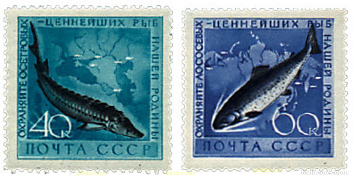 Sellos: 238088 MNH UNION SOVIETICA 1959 FAUNA MARINA
