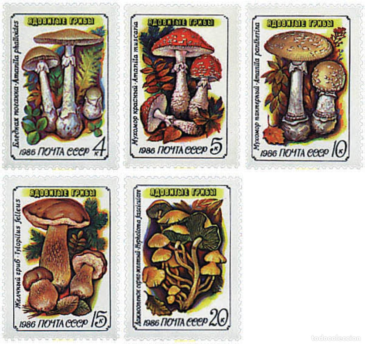 Sellos: 37516 MNH UNION SOVIETICA 1986 SETAS VENENOSAS