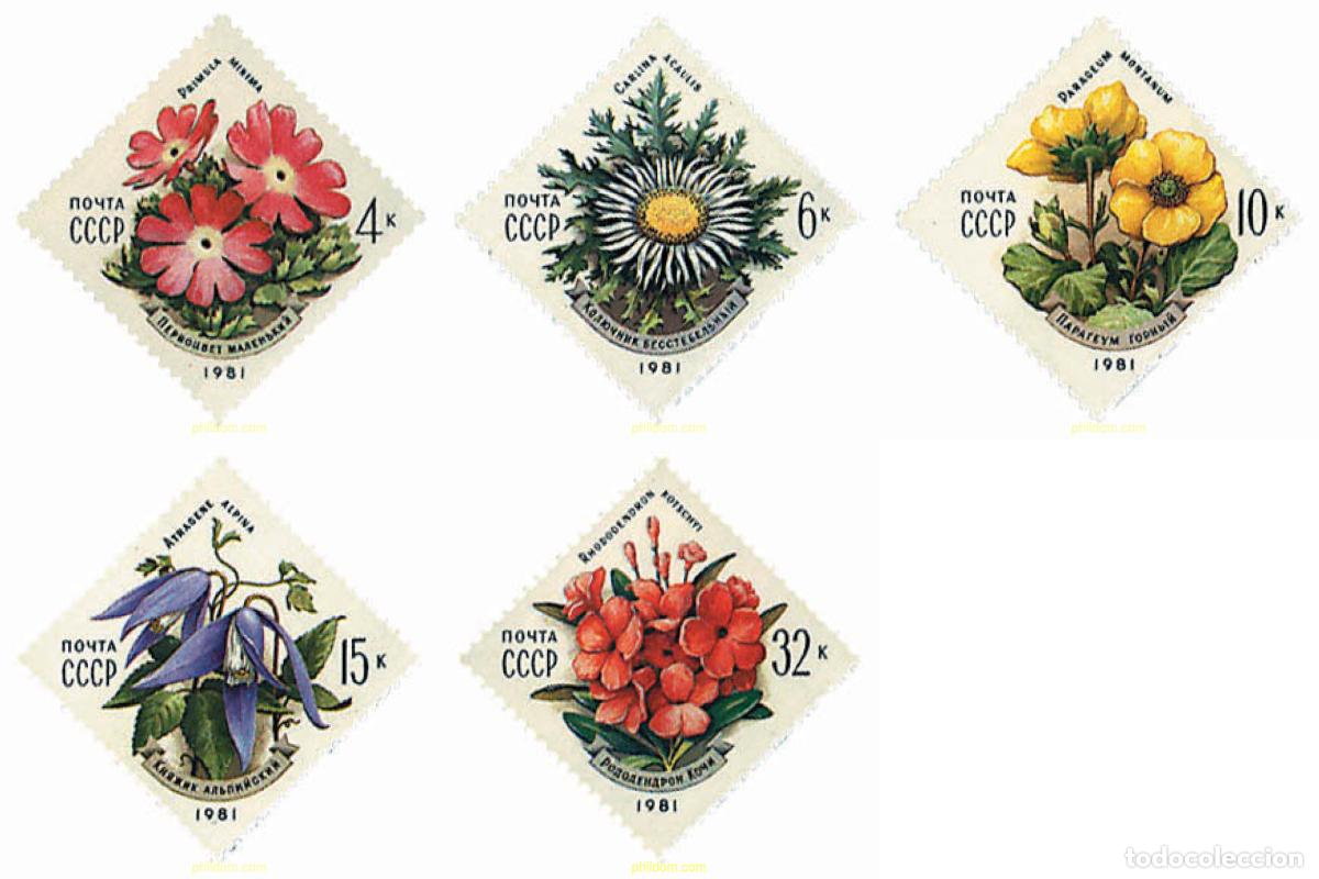 Sellos: 92568 MNH UNION SOVIETICA 1981 FLORES DE LOS CARPATOS