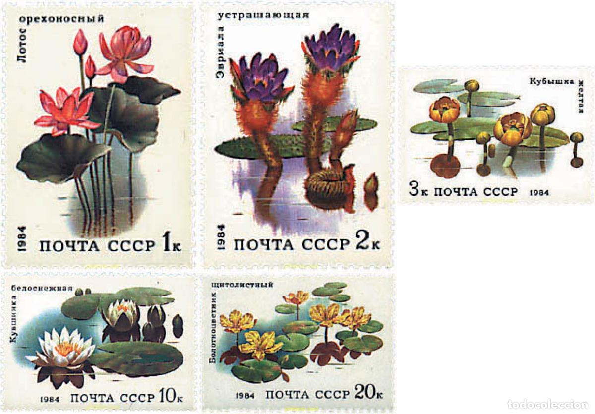 Sellos: 92570 MNH UNION SOVIETICA 1984 PLANTAS ACUATICAS