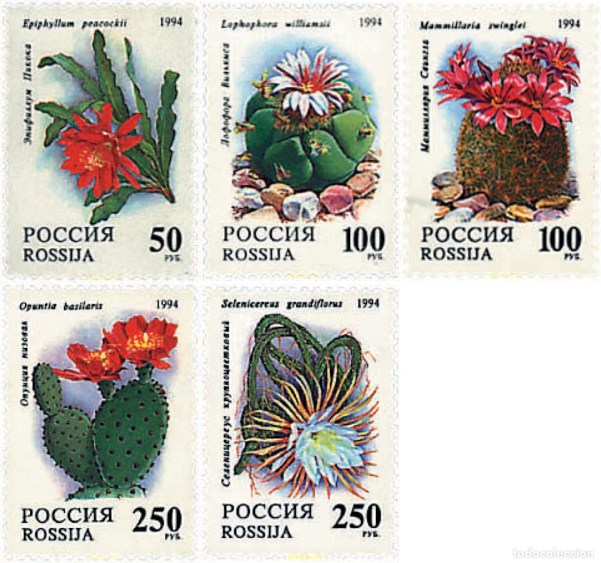 Sellos: 94010 MNH RUSIA 1994 FLORES DE CACTUS