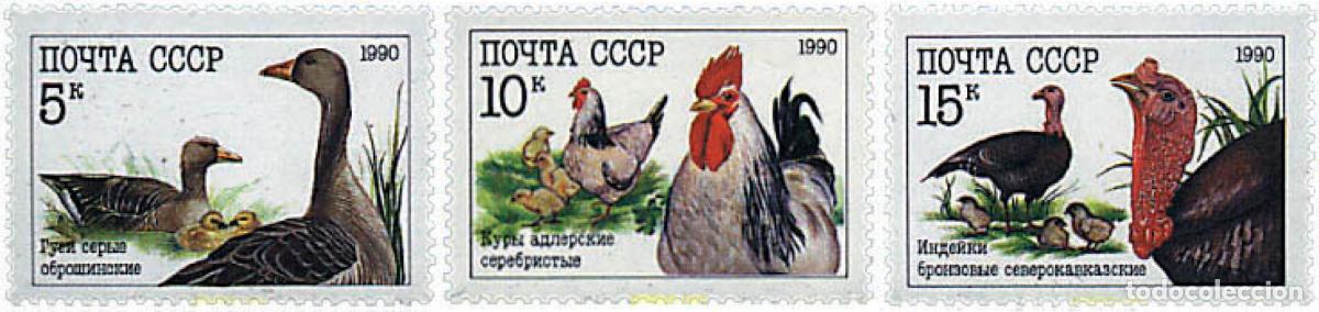 Sellos: 63554 MNH UNION SOVIETICA 1990 AVES DE CORRAL