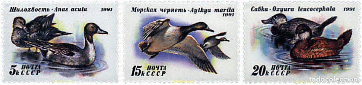 Sellos: 63561 MNH UNION SOVIETICA 1991 PATOS