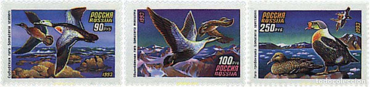 Sellos: 62616 MNH RUSIA 1993 PATOS