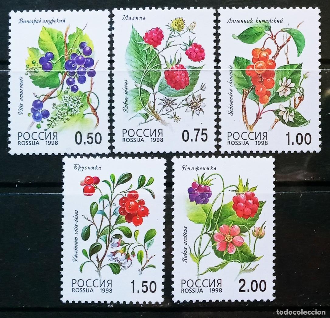 Sellos: RUSIA - IVERT 6348/52 NUEVOS ** SERIE FLORA FRUTOS SALVAJES - A&Ntilde;O 1998