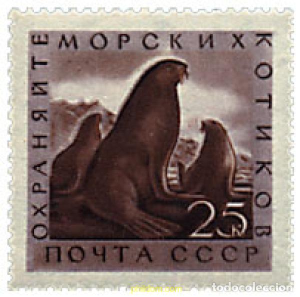 Sellos: 627259 MNH UNION SOVIETICA 1960 FAUNA MARINA
