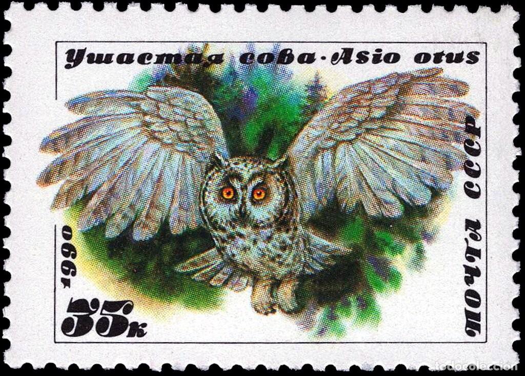 Sellos: Rusia URSS 1990 Scott 5873 Sello ** Fauna Buho Long-eared Owl (Asio otus) Michel 6065 Yvert 5727