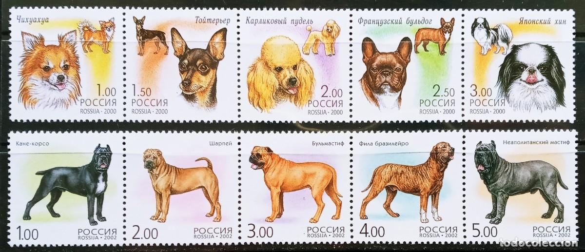 Sellos: RUSIA - IVERT 6485/89+ 6622/26 NUEVO ** FAUNA 2 SERIES DE PERROS - A&Ntilde;OS 2000 Y 2002