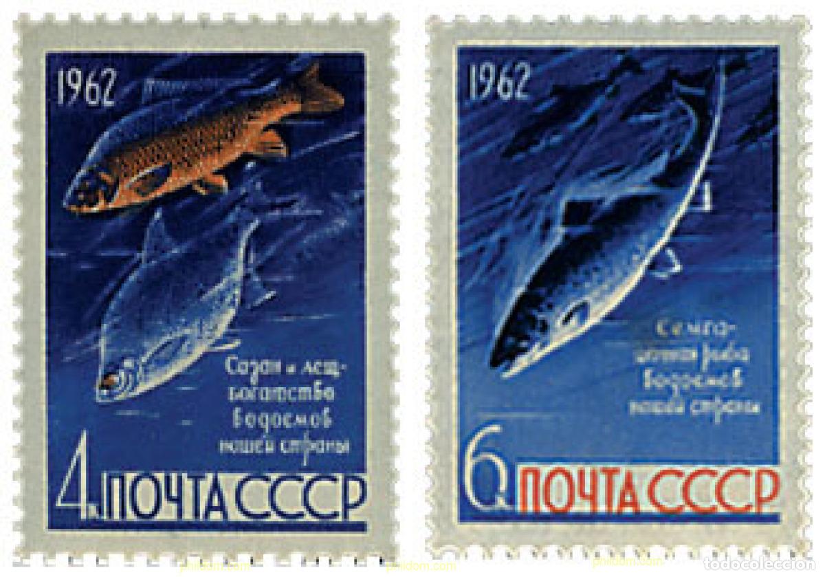 Sellos: 62998 MNH UNION SOVIETICA 1962 PECES