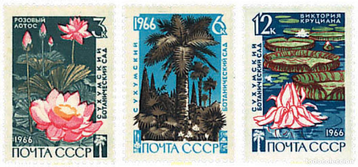 Sellos: 92522 MNH UNION SOVIETICA 1966 125 ANIVERSARIO DEL JARDIN BOTANICO SUCHUMI