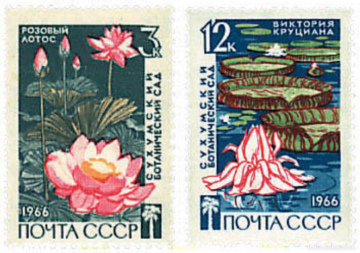 Sellos: 339905 MNH UNION SOVIETICA 1966 125 ANIVERSARIO DEL JARDIN BOTANICO SUCHUMI