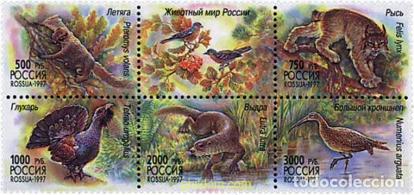 Sellos: 6398 MNH RUSIA 1997 FAUNA DE RUSIA