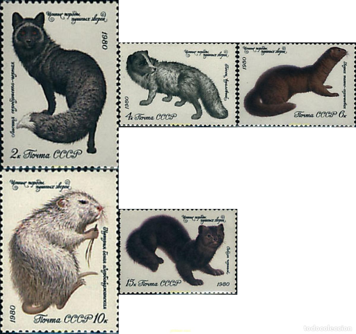 Sellos: 63426 MNH UNION SOVIETICA 1980 MAMIFEROS
