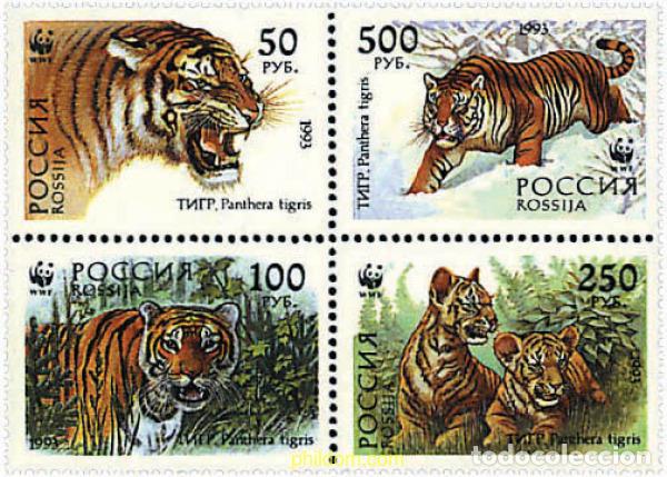 Sellos: 5224 MNH RUSIA 1993 TIGRE DE SIBERIA