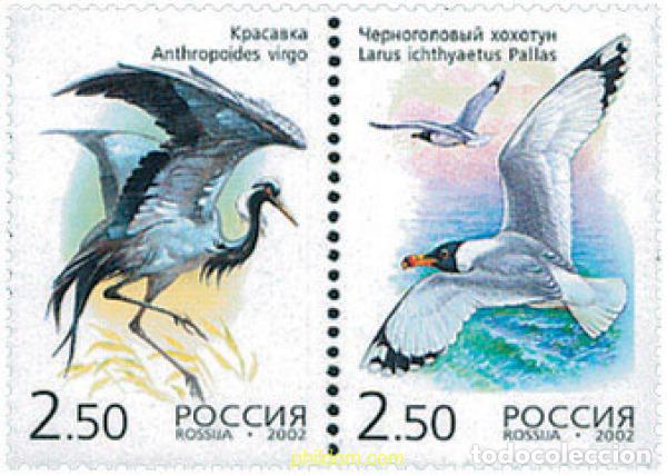 Sellos: 103368 MNH RUSIA 2002 AVES