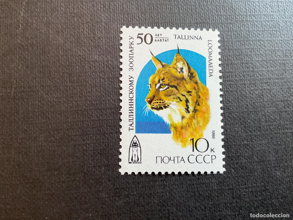 Sellos: RUSIA N&ordm; YVERT 5644*** A&Ntilde;O 1989. 50 ANIVERSARIO ZOO DE TALLIN. LINCE