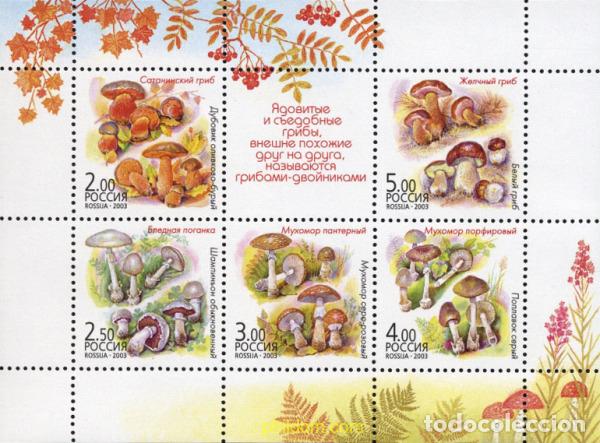 Sellos: 133206 MNH RUSIA 2003 SETAS