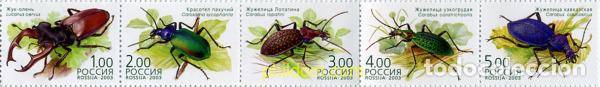 Sellos: 358213 MNH RUSIA 2003 INSECTOS