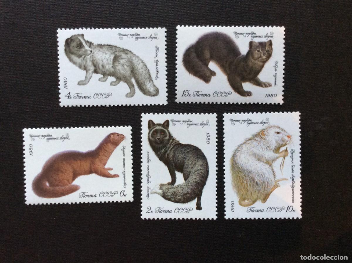 Sellos: RUSIA N&ordm; YVERT 4706/0*** A&Ntilde;O 1980. FAUNA