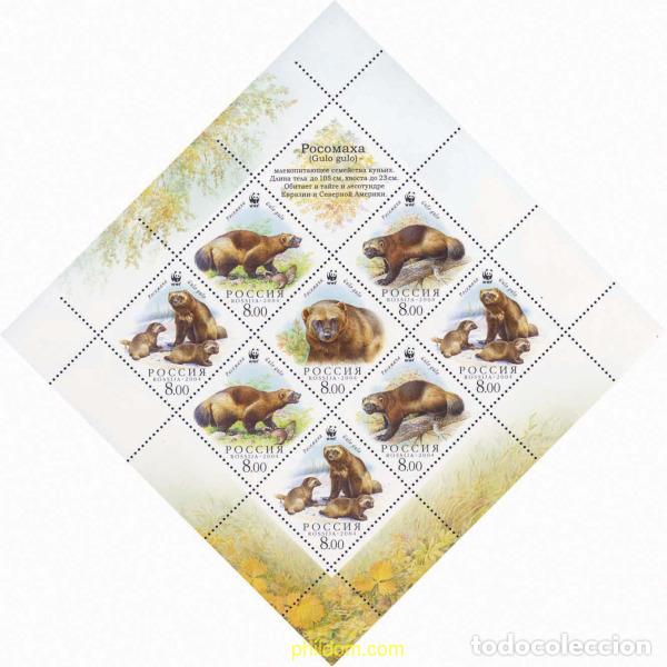Sellos: 139237 MNH RUSIA 2004 WWF. GULO GULO
