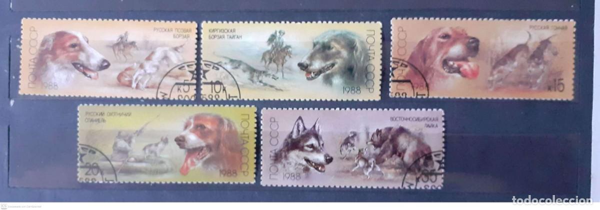 Sellos: RUSIA (URSS) n&ordm; 5511/15&ordm; Perros de caza. Serie completa
