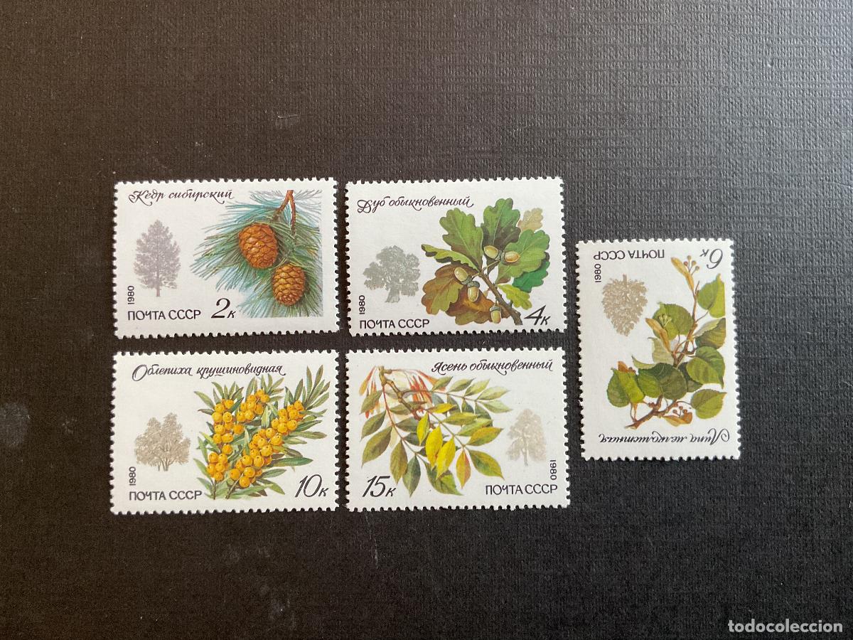 Sellos: RUSIA N&ordm; YVERT N&ordm; 4742/6*** A&Ntilde;O 1980. FLORA. ARBOLES Y ARBUSTOS