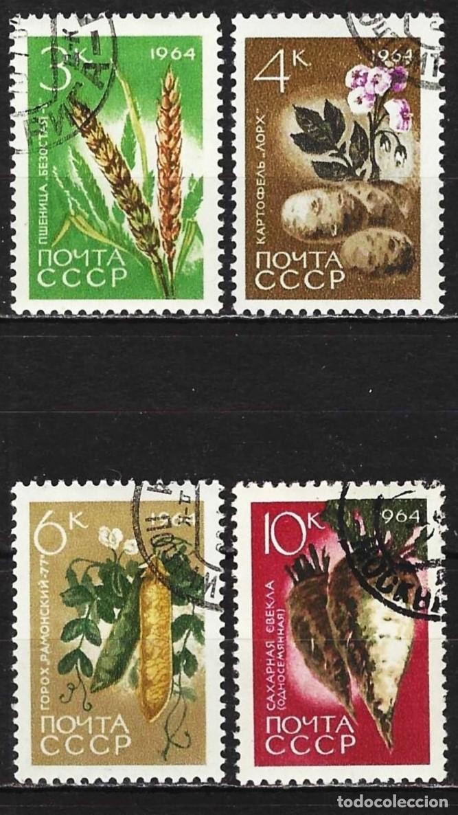 Sellos: Rusia 1964 - Mi 2923 a 2926 - YT 2837 a 2840 - Verduras y cereales