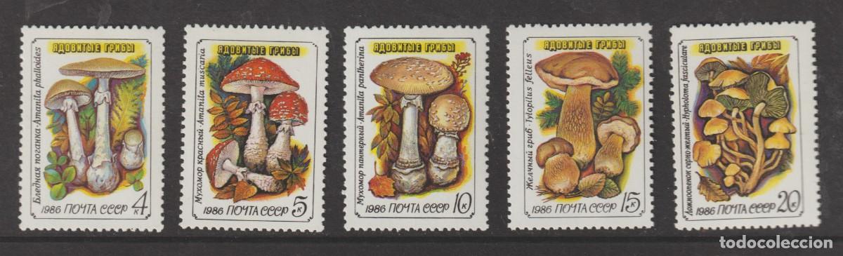 Sellos: Russia U.R.S.S. 1986 - Yvert 5304/5308 mnh**