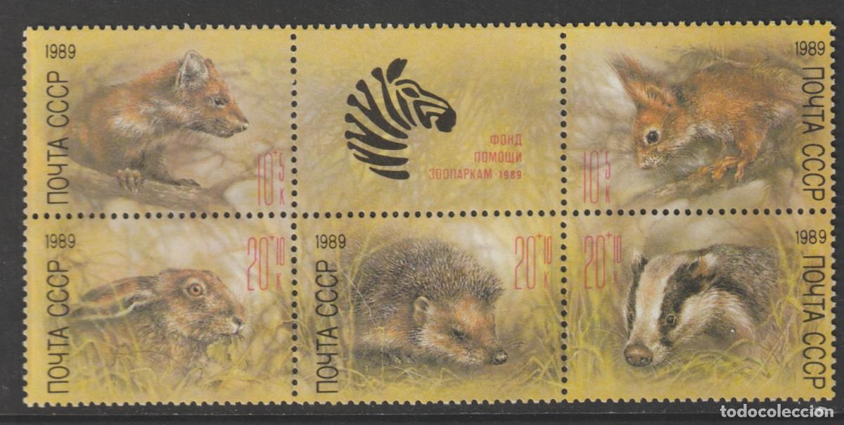 Sellos: Russia U.R.S.S.1989 - Yvert 5614/5618 mnh**