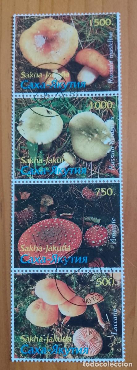 Sellos: SAKHA-JAKUTIA - RUSIA - TIRA CON 4 SELLOS DE DISTINTOS VALORES - FLORA, SETAS, HONGOS,