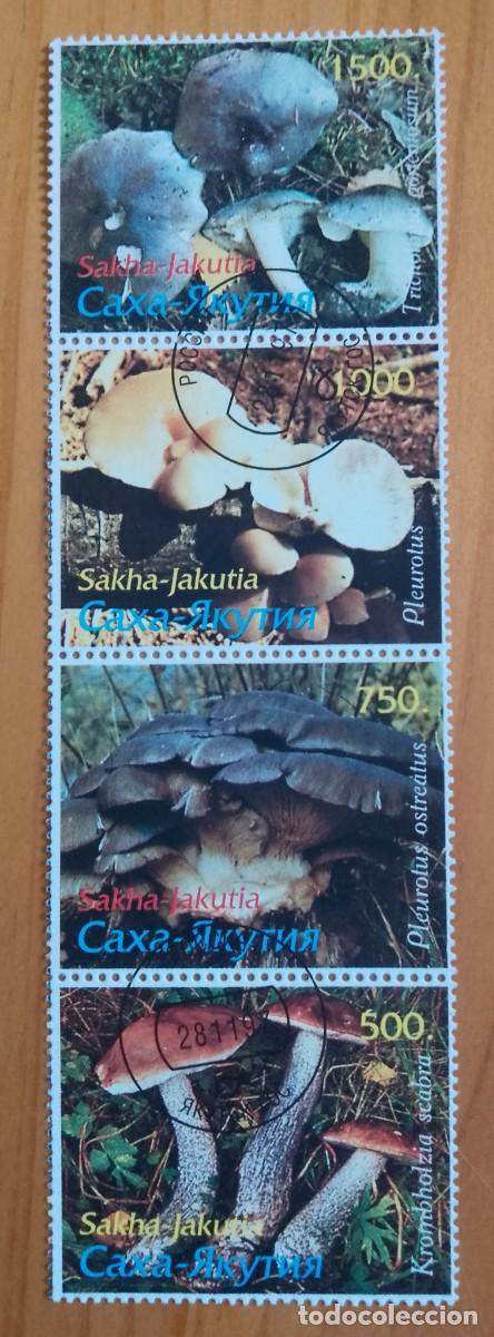 Sellos: SAKHA-JAKUTIA - RUSIA - TIRA CON 4 SELLOS DE DISTINTOS VALORES - FLORA, SETAS, HONGOS,