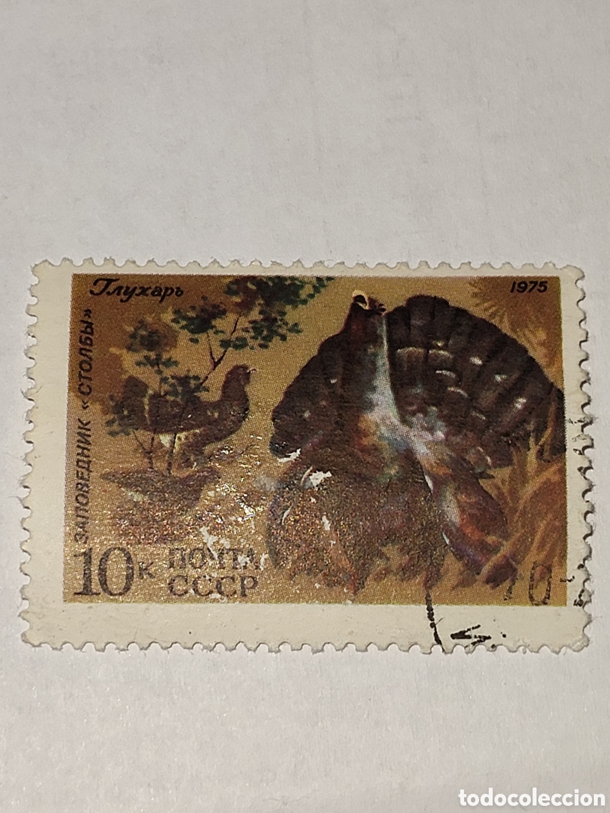 Sellos: Sello de Rusia Reservas naturales y Fauna Urugallo 1975
