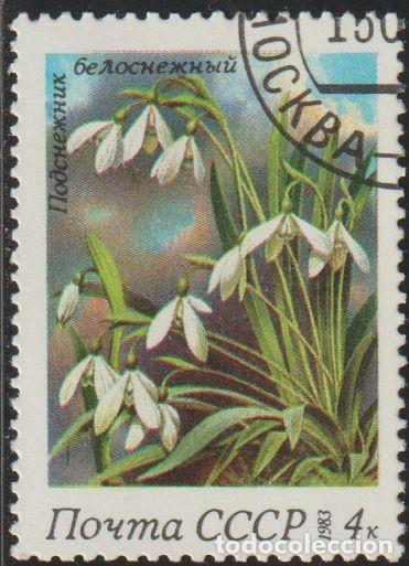 Sellos: Rusia URSS 1983 Scott 5148 Sello * Flora Flores de Invierno Snowdrops (Galanthus nivalis)