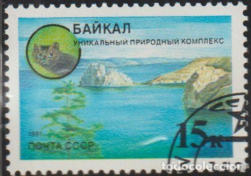 Stamps: Rusia URSS 1991 Scott 5966 Sello * Protecci&oacute;n ambiental del Baikal un complejo natural &uacute;nico