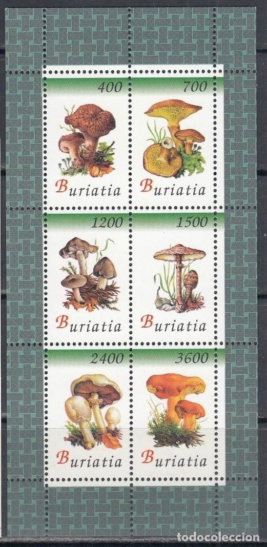 Sellos: BURIATIA 1999 SHEET MNH MUSHROOMS CHAMPIGNONS SETAS PILZE FUNGHI COGUMELOS