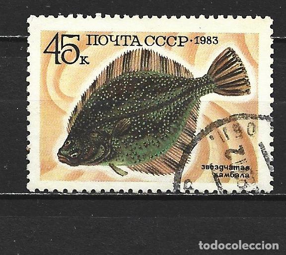 Sellos: RUSIA YVERT NUM. 5021 USADO - Foto 1