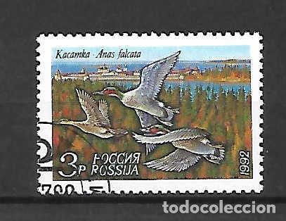 Sellos: Aves: anas falcata(patos),de Rusia . sello a&ntilde;o 1992